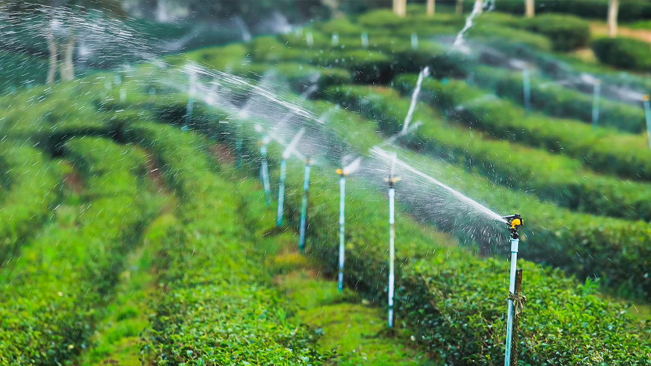 Poço artesiano: solução inteligente para quem vive do campo